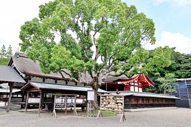 福岡・宗像大社の本殿